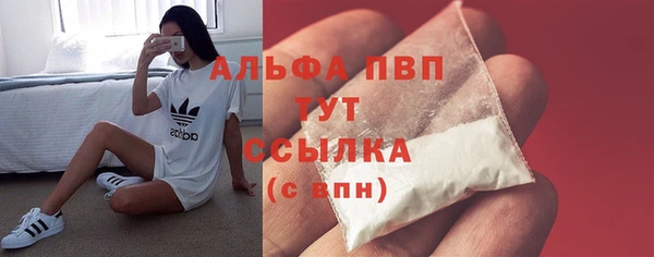 шишки Пестово