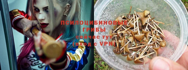 прущая мука Покачи